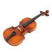 Hofner H9V Violin Outfit (4/4)