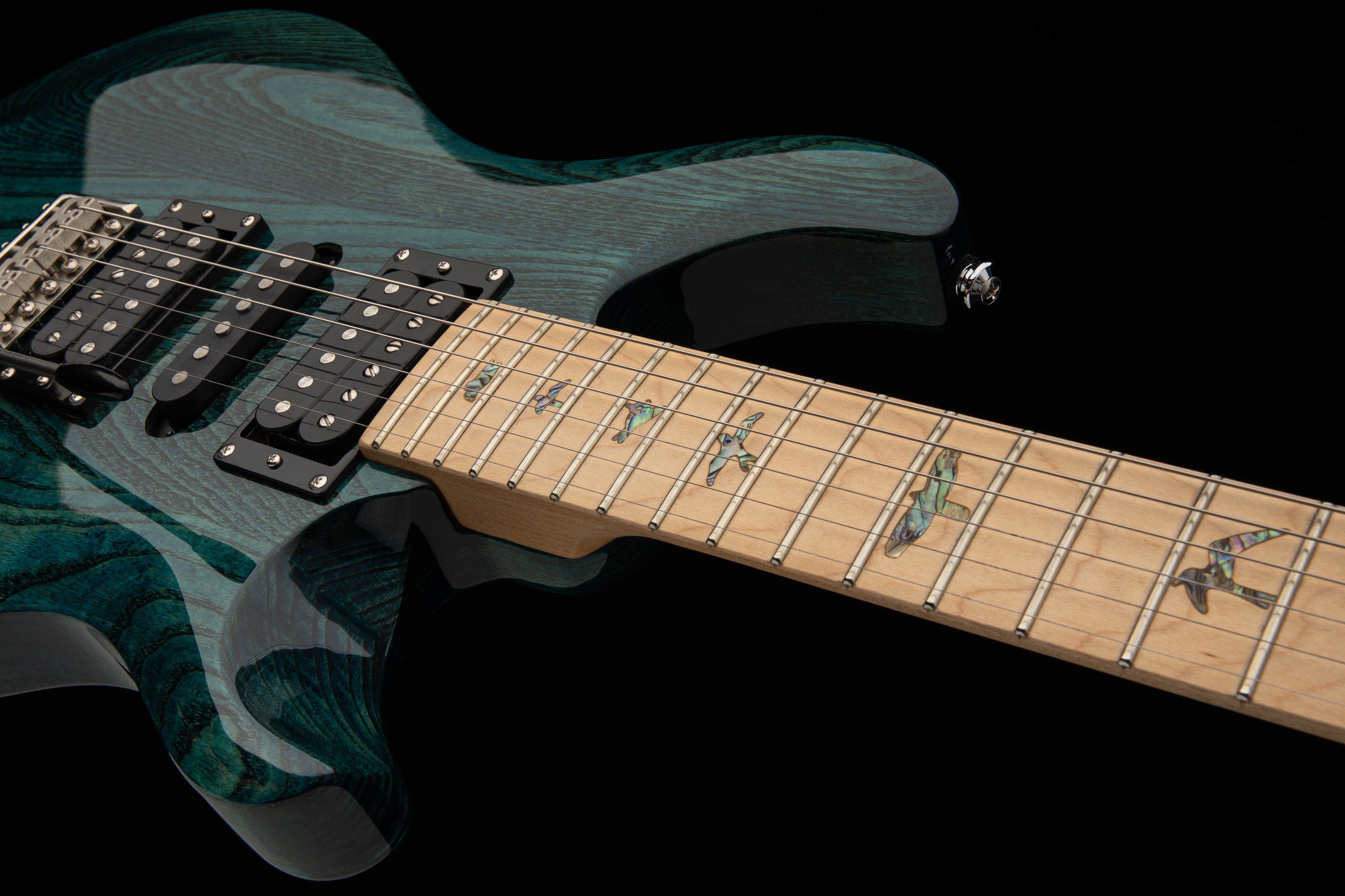 PRS SE Swamp Ash Special (Iri Blue)