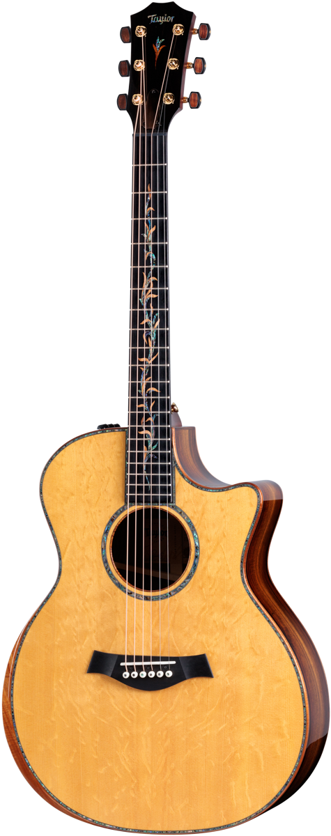 Taylor Custom #27: C14ce B4027 – Grand Auditorium, Bearclaw Sitka Spruce/Bocote