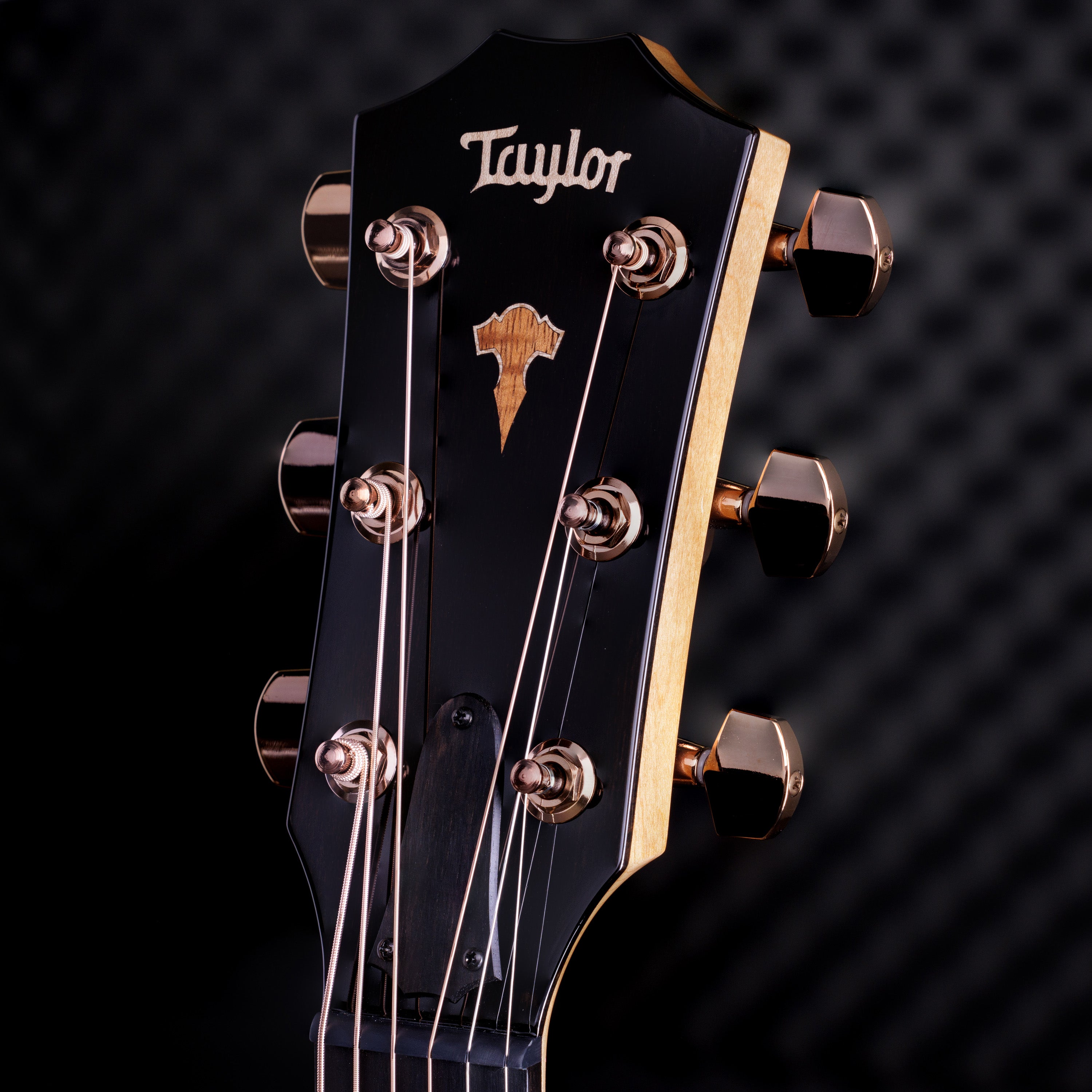 Taylor Custom Build C16ce B3017 Grand Symphony Spruce/Big Leaf Maple