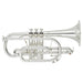 Yamaha YCR8335S Neo Bb Cornet (Silver plated)