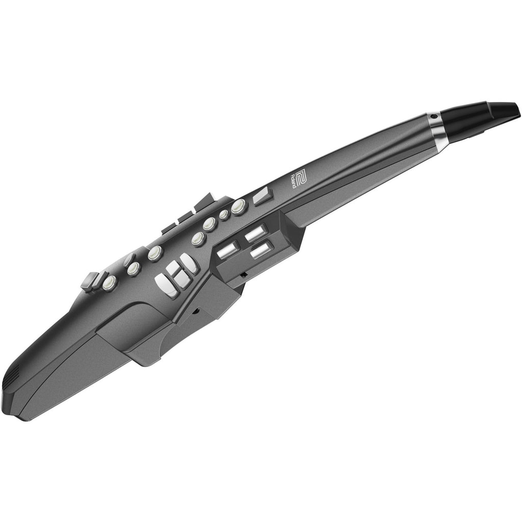 Roland Aerophone AE-10 - Digital Wind Instrument (Display only 