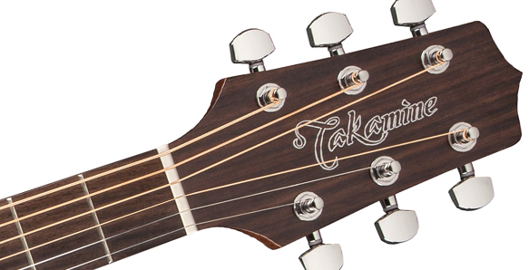 Takamine gd online 20