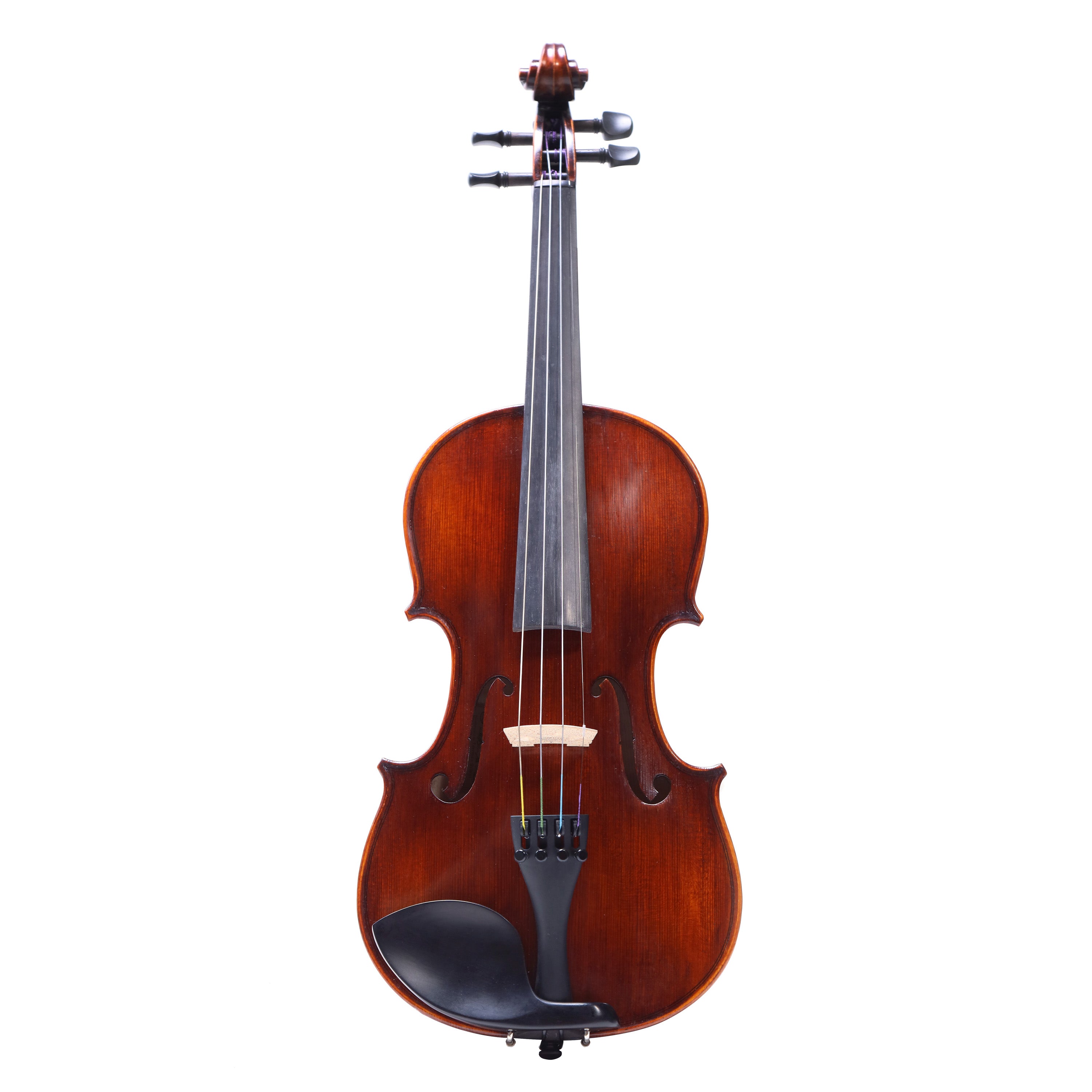 Eastman VL305 中階學生小提琴套裝(4/4) — Tom Lee Music