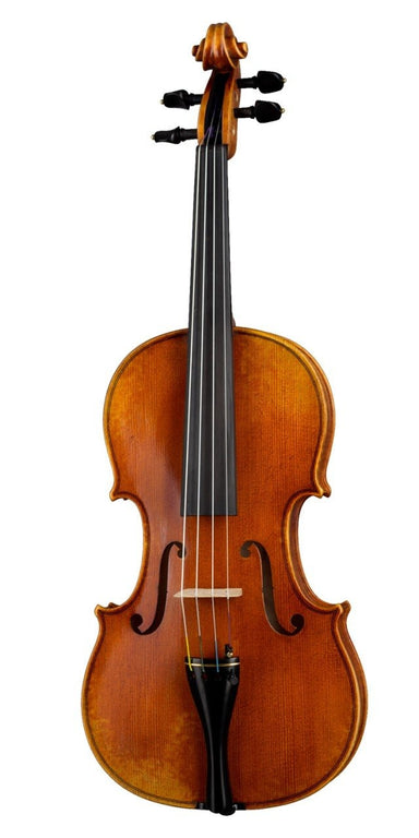 Hofner Violin Outfit, Stradivari