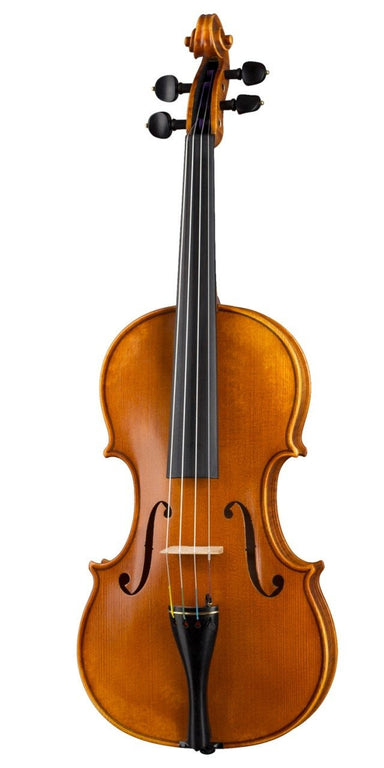 Hofner Violin Outfit, Guarneri