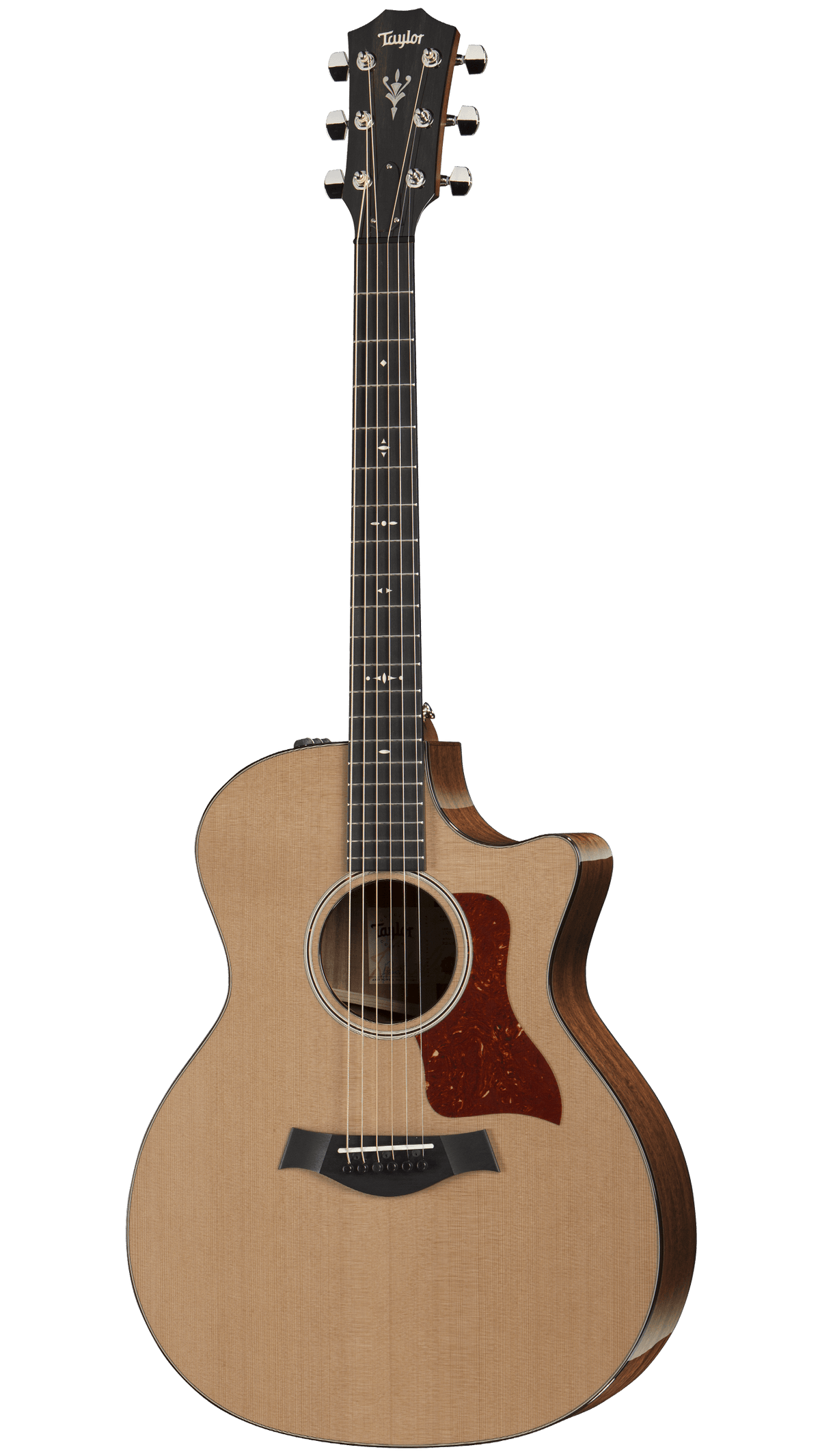 Taylor 514ce Acoustic Guitar 木結他 — Tom Lee Music