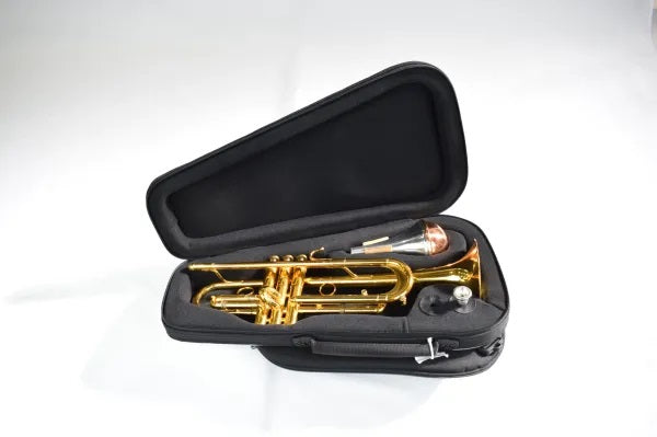 Bags discount trumpet case